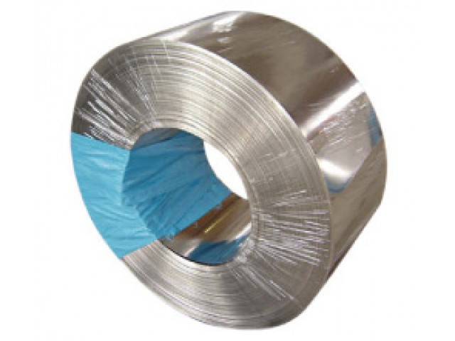 Stainless Steel Strips SUS301, SUS304, SUS430, SUS316L